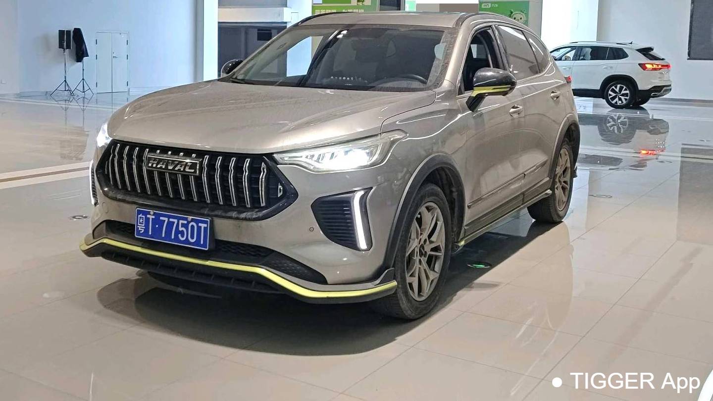 HAVAL 2022 Jolion Pro Jingxiang Edition 1.5T Purple Copper Rabbit