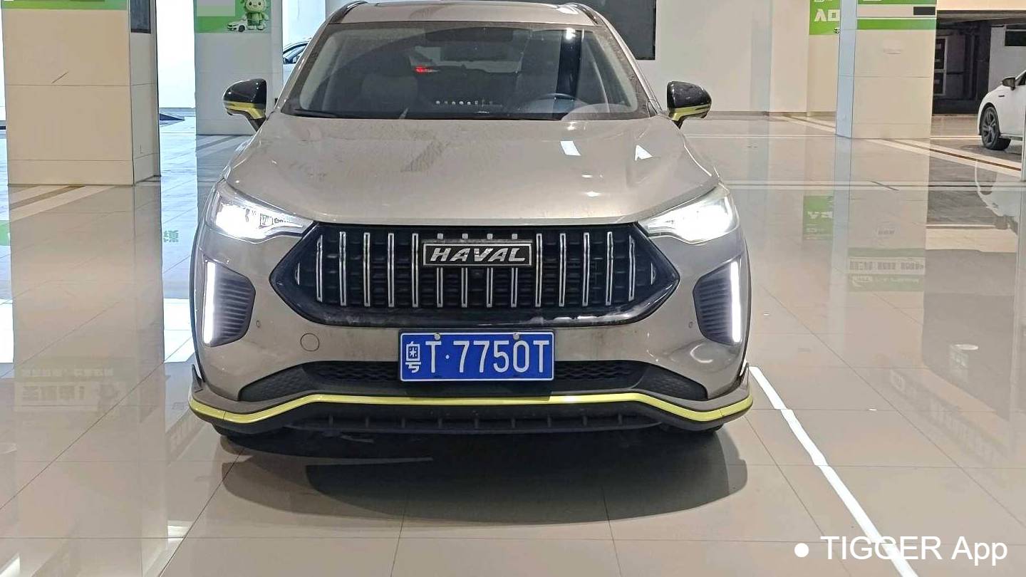 HAVAL 2022 Jolion Pro Jingxiang Edition 1.5T Purple Copper Rabbit