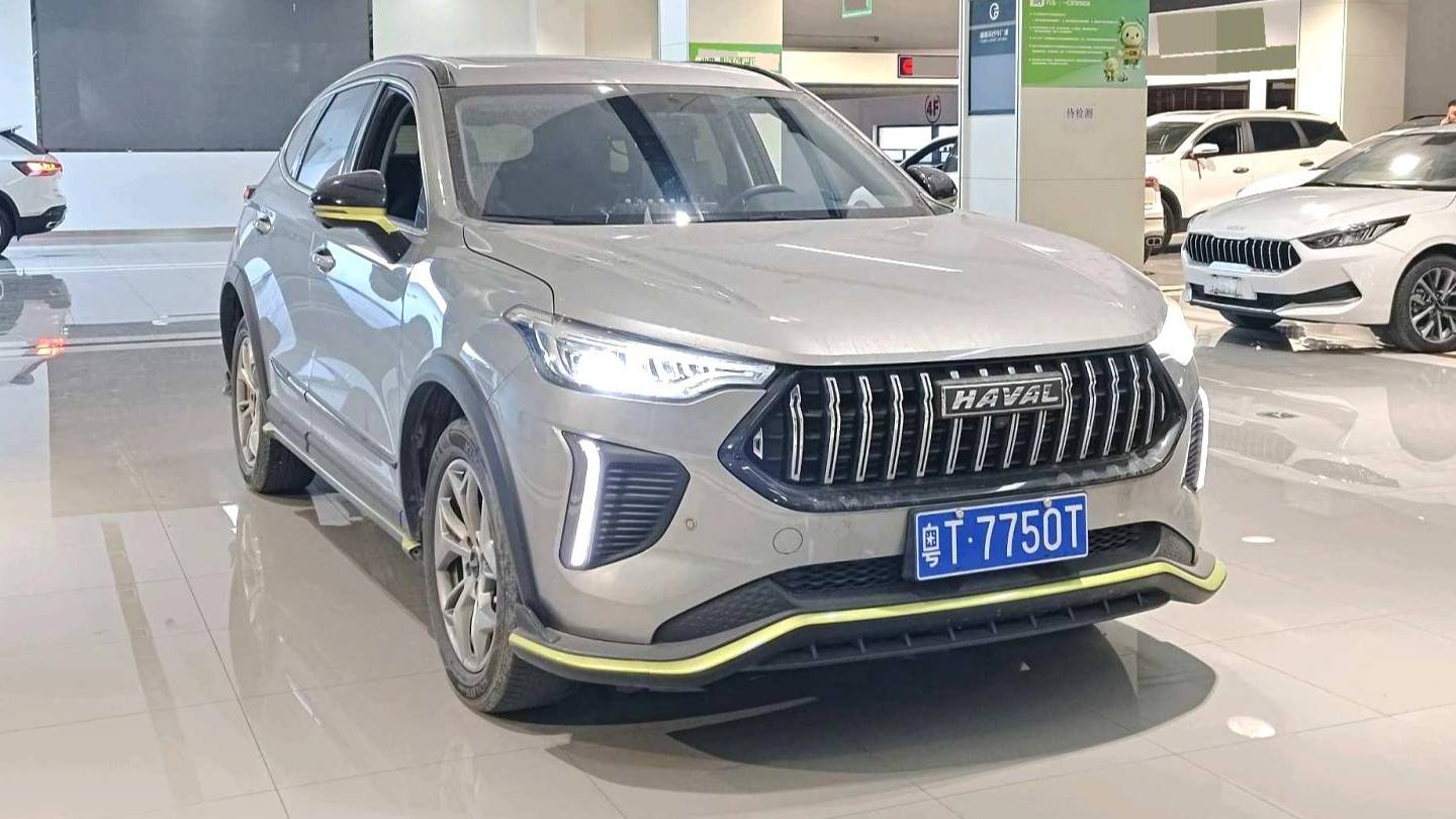 HAVAL 2022 Jolion Pro Jingxiang Edition 1.5T Purple Copper Rabbit