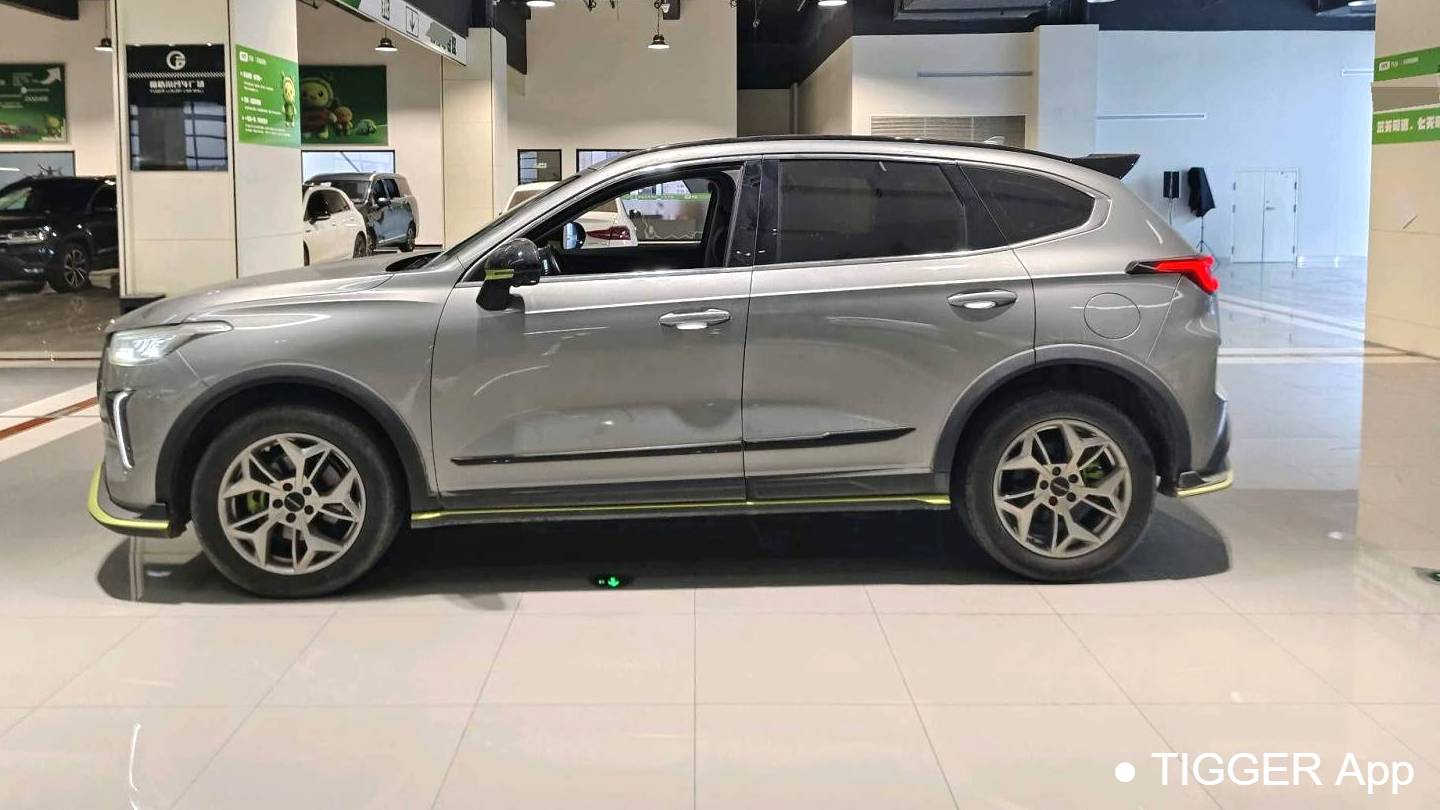 HAVAL 2022 Jolion Pro Jingxiang Edition 1.5T Purple Copper Rabbit