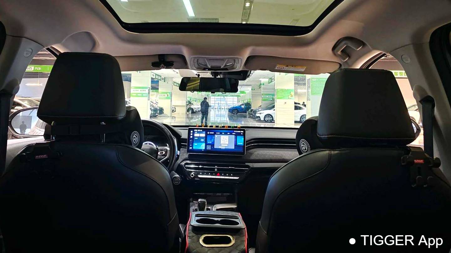 HAVAL 2022 Jolion Pro Jingxiang Edition 1.5T Purple Copper Rabbit