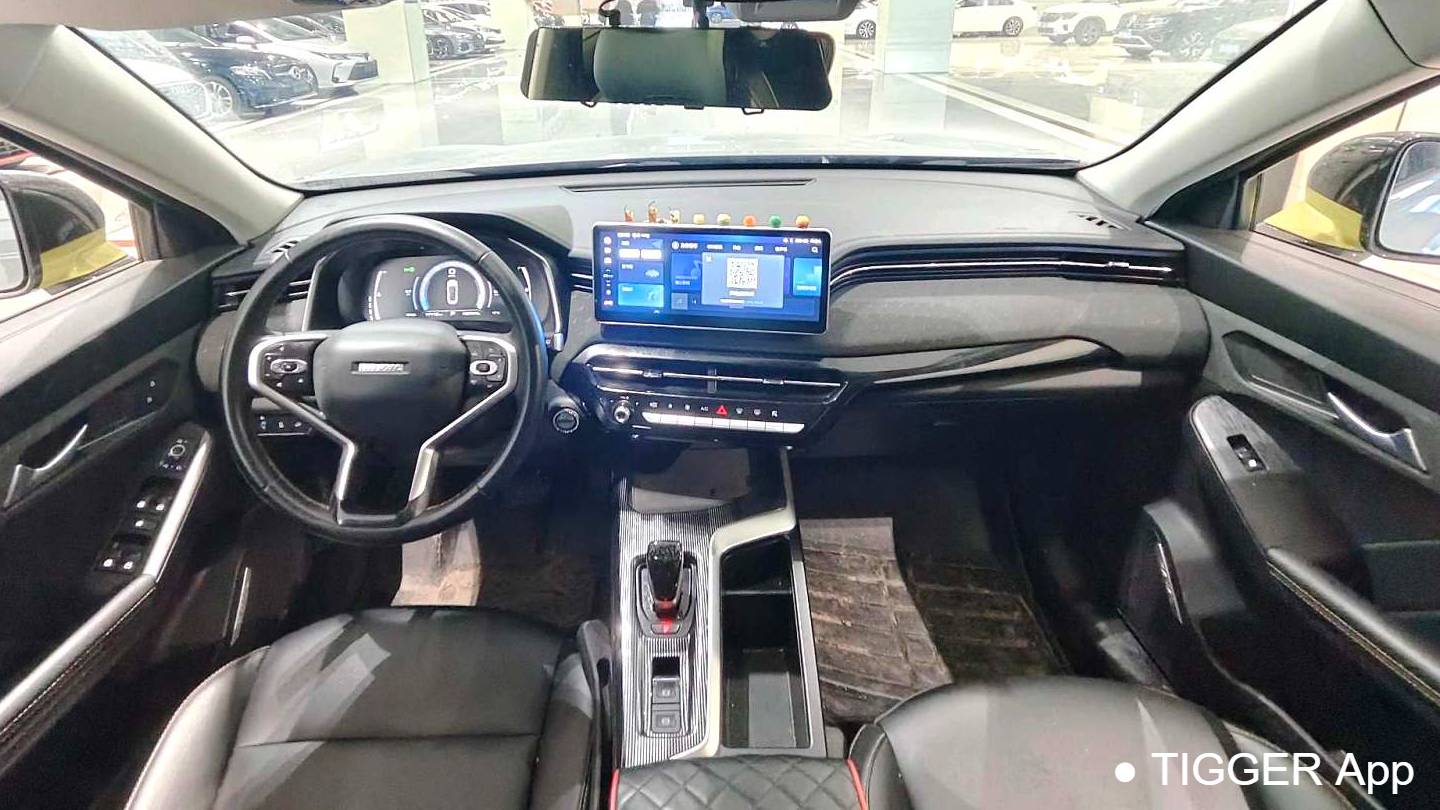 HAVAL 2022 Jolion Pro Jingxiang Edition 1.5T Purple Copper Rabbit