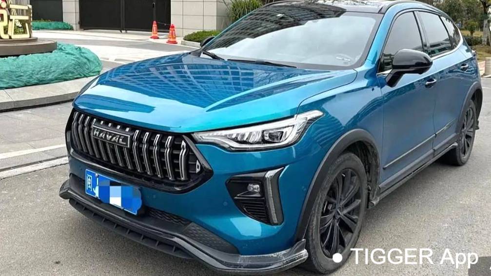 HAVAL 2022 Jolion Pro Jinxiang Edition 1.5T Brass Rabbit