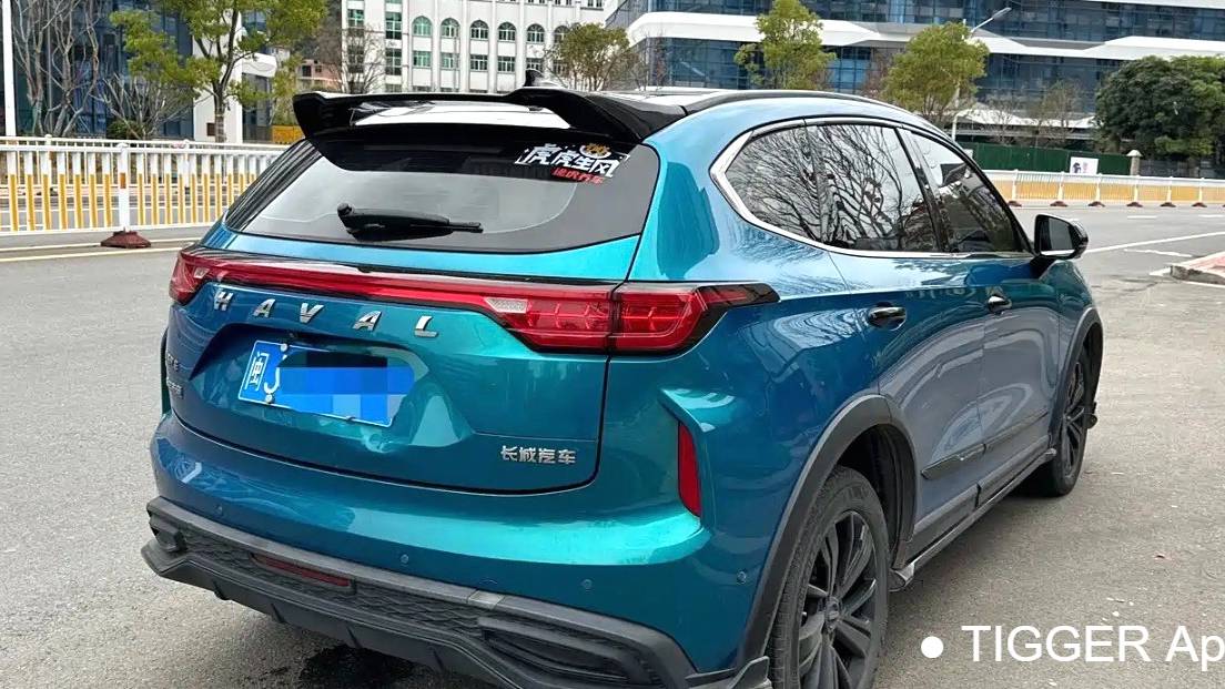 HAVAL 2022 Jolion Pro Jinxiang Edition 1.5T Brass Rabbit