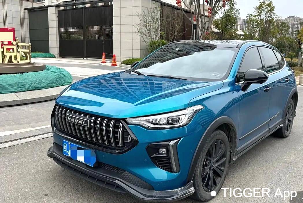 HAVAL 2022 Jolion Pro Jinxiang Edition 1.5T Brass Rabbit