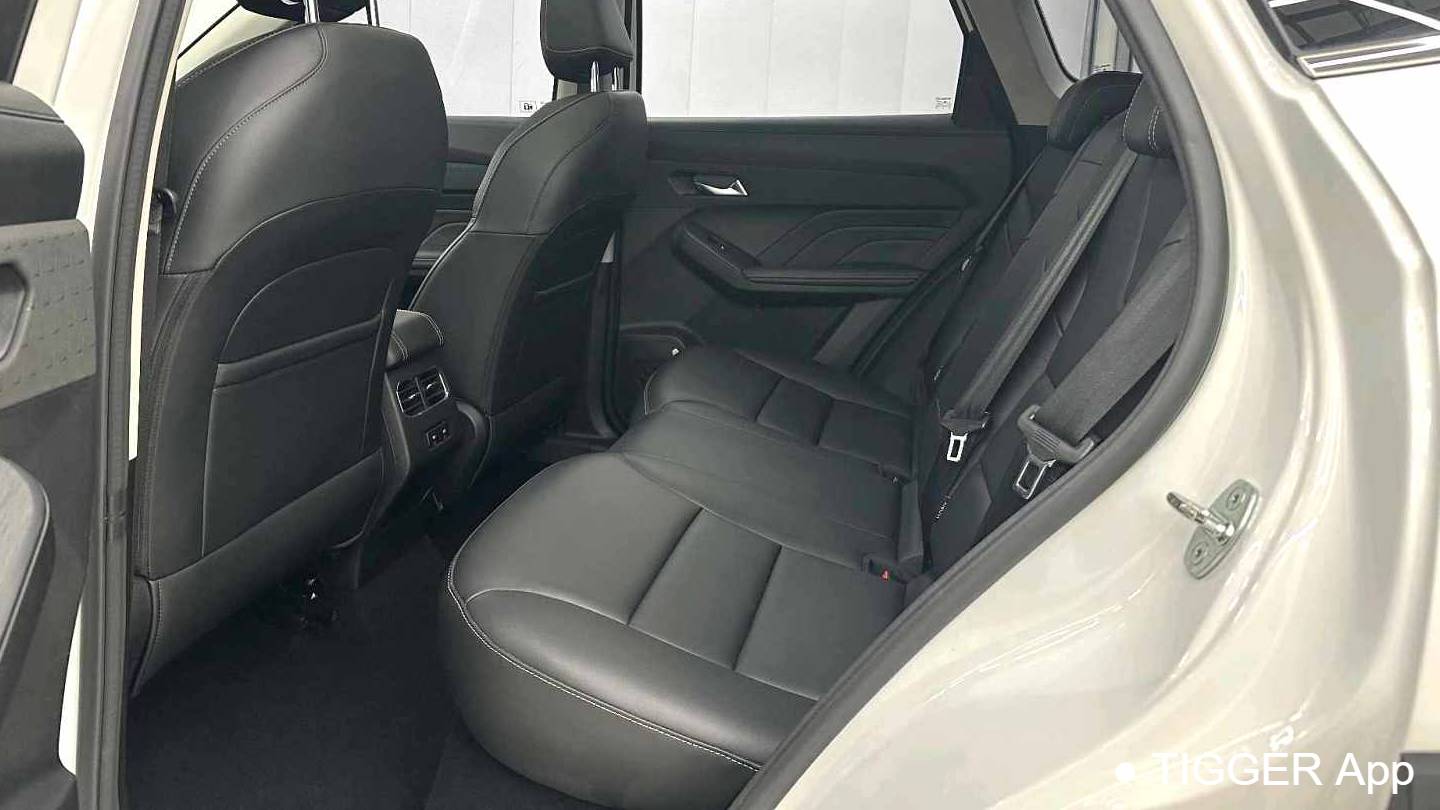 HAVAL 2022 Jolion Pro Jingxiang Edition 1.5T Purple Copper Rabbit