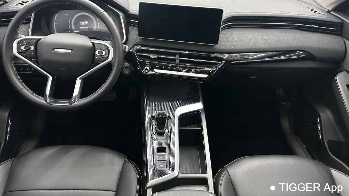 HAVAL 2022 Jolion Pro Jingxiang Edition 1.5T Purple Copper Rabbit