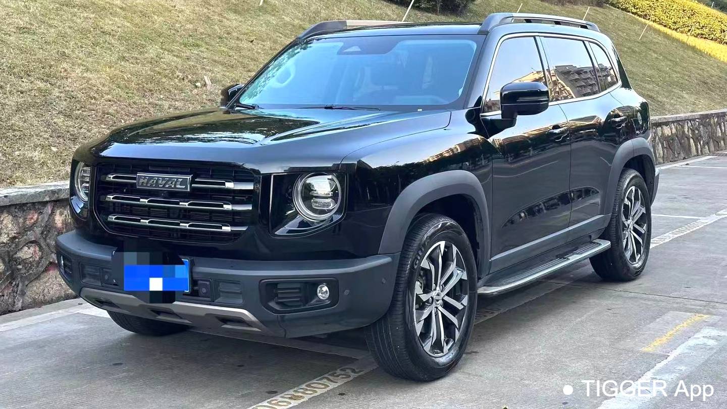 HAVAL 2022 DARGO 1.5T DCT two wheel drive hunting version for horse dogs