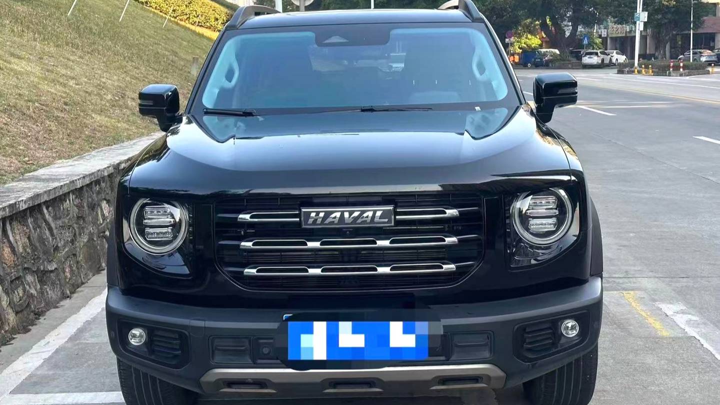 HAVAL 2022 DARGO 1.5T DCT two wheel drive hunting version for horse dogs