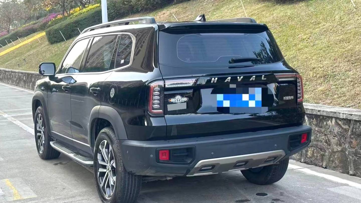 HAVAL 2022 DARGO 1.5T DCT two wheel drive hunting version for horse dogs