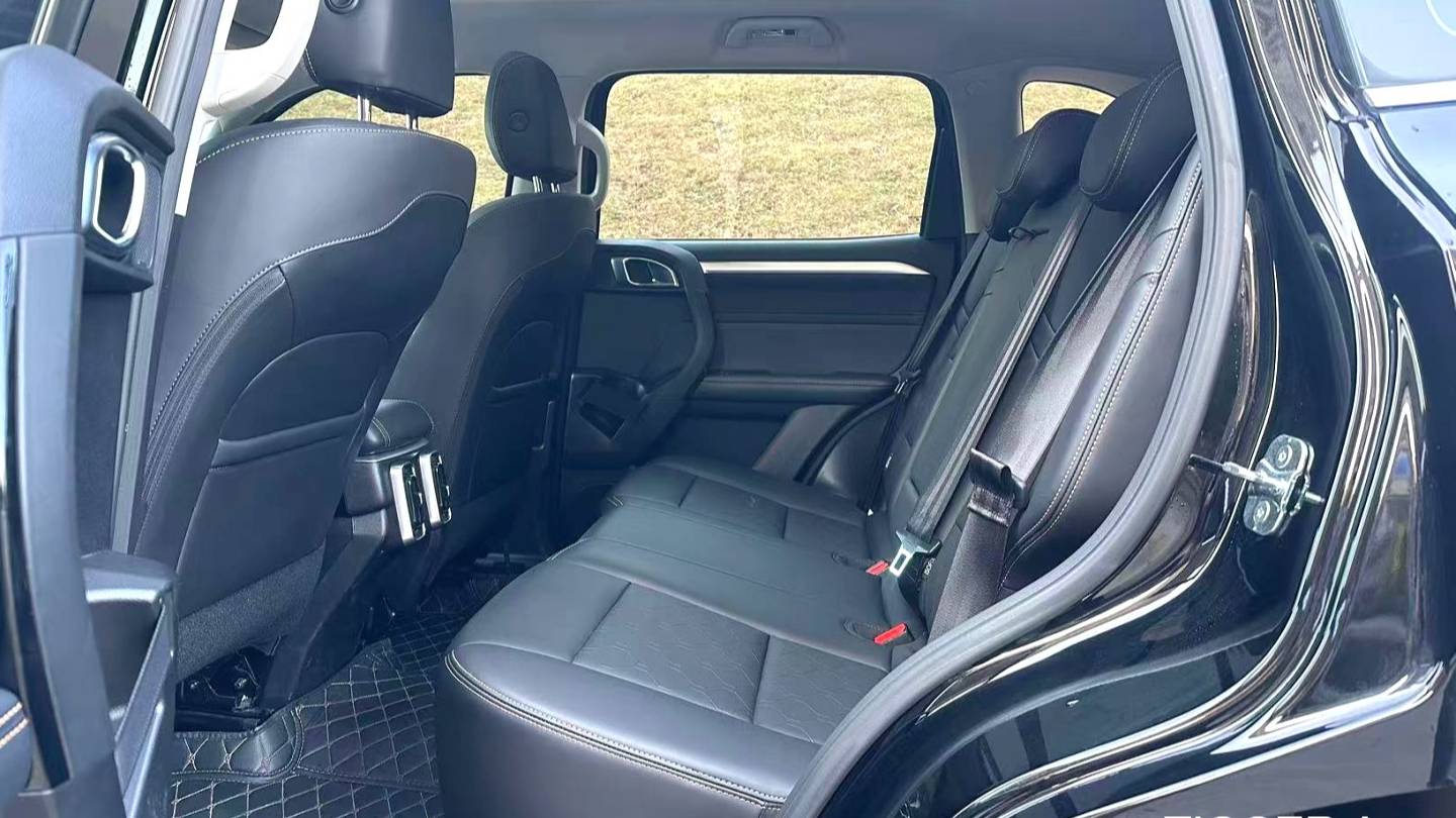 HAVAL 2022 DARGO 1.5T DCT two wheel drive hunting version for horse dogs