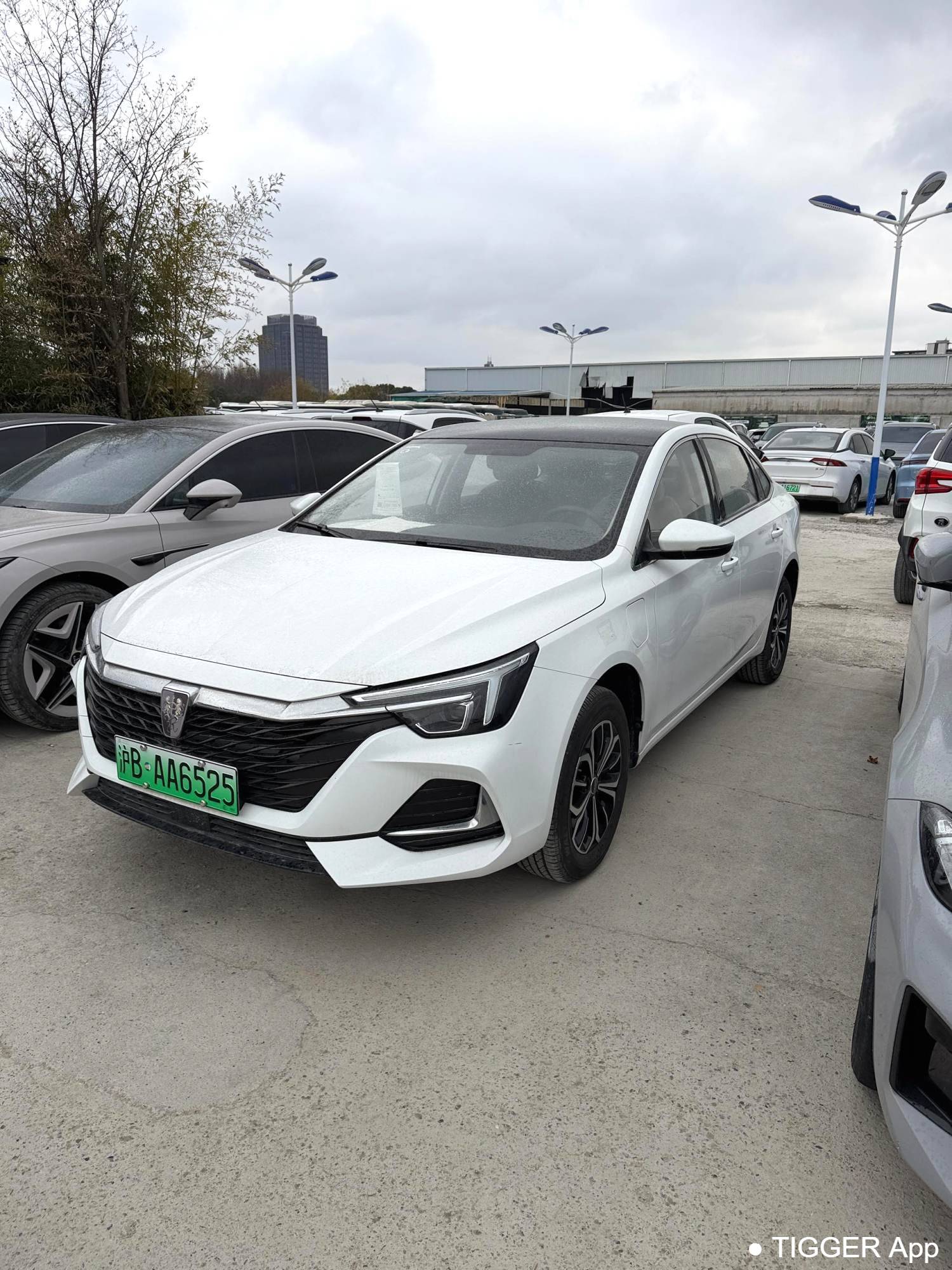 used ROEWE 2022 i6 MAX  EV 500 Skyroof Special Edition
