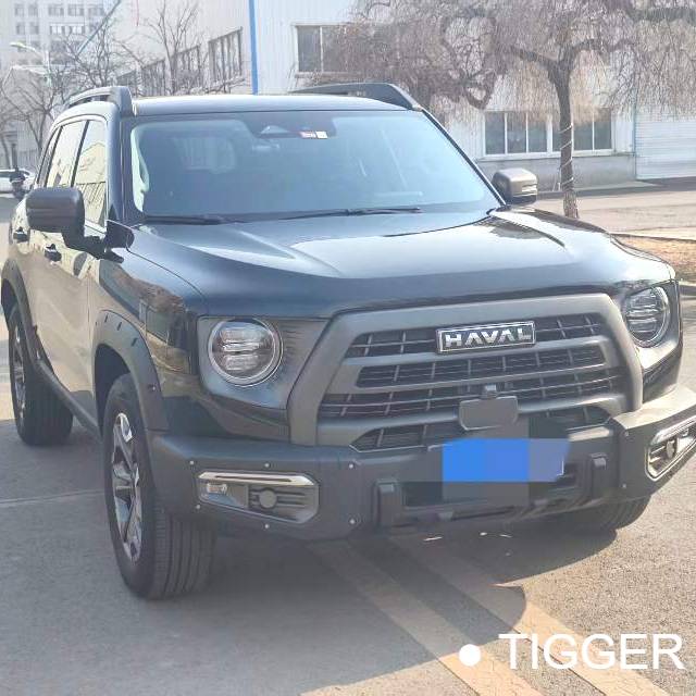 HAVAL 2024 DARGO 2.0T DCT 4WD Chinese Rural Dog Edition Used Car