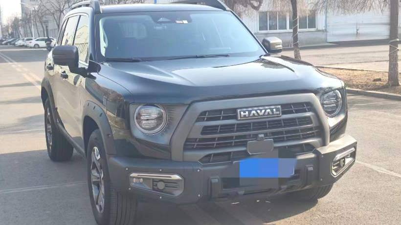 HAVAL 2024 DARGO 2.0T DCT 4WD Chinese Rural Dog Edition