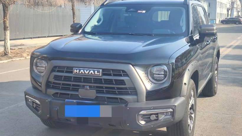 HAVAL 2024 DARGO 2.0T DCT 4WD Chinese Rural Dog Edition