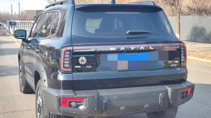 HAVAL 2024 DARGO 2.0T DCT 4WD Chinese Rural Dog Edition