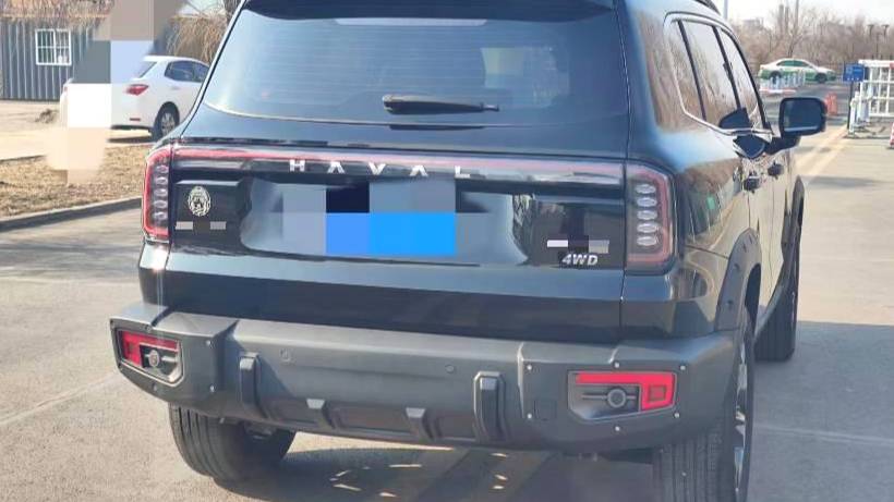 HAVAL 2024 DARGO 2.0T DCT 4WD Chinese Rural Dog Edition