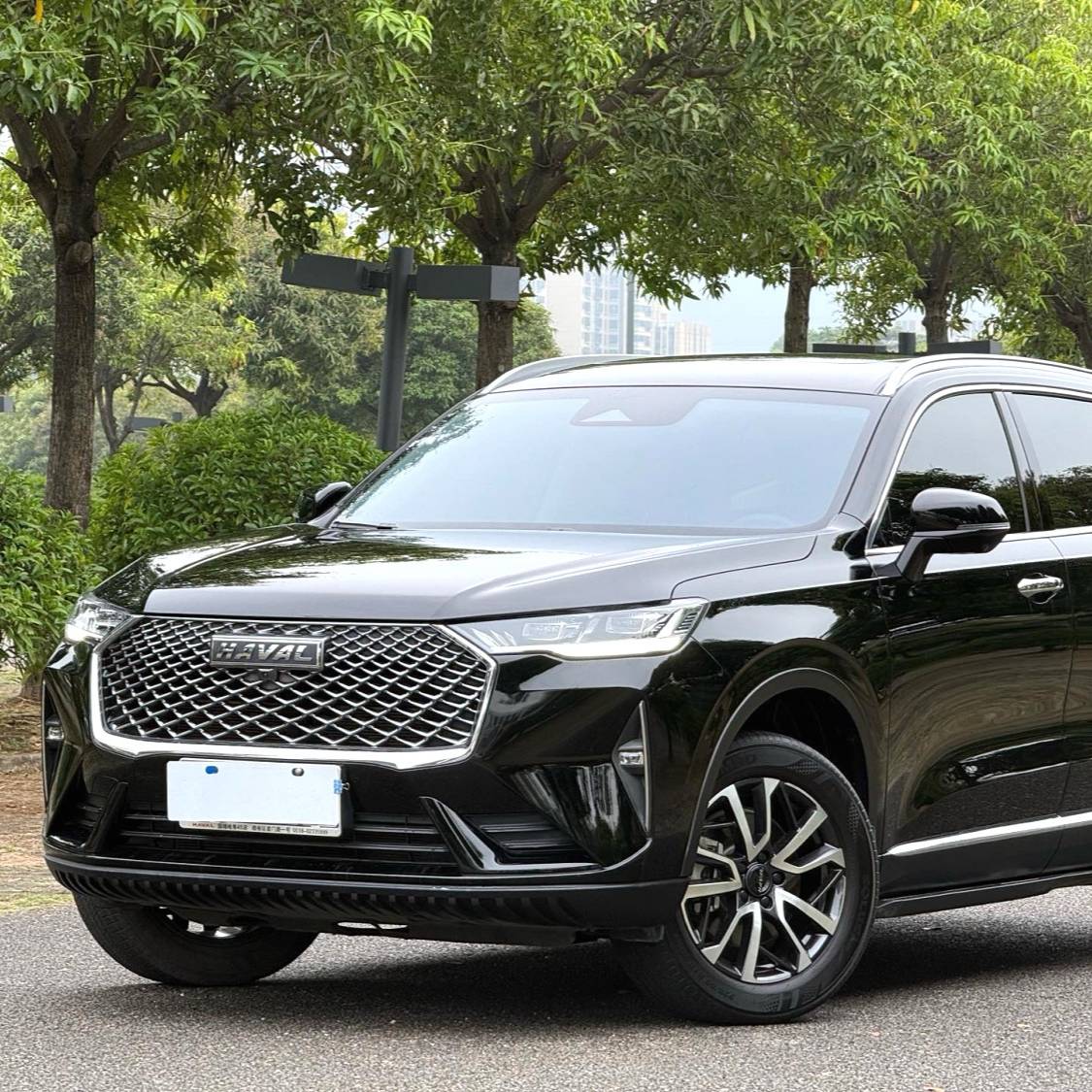 HAVAL 2022 H6 1.5T two wheel drive Max