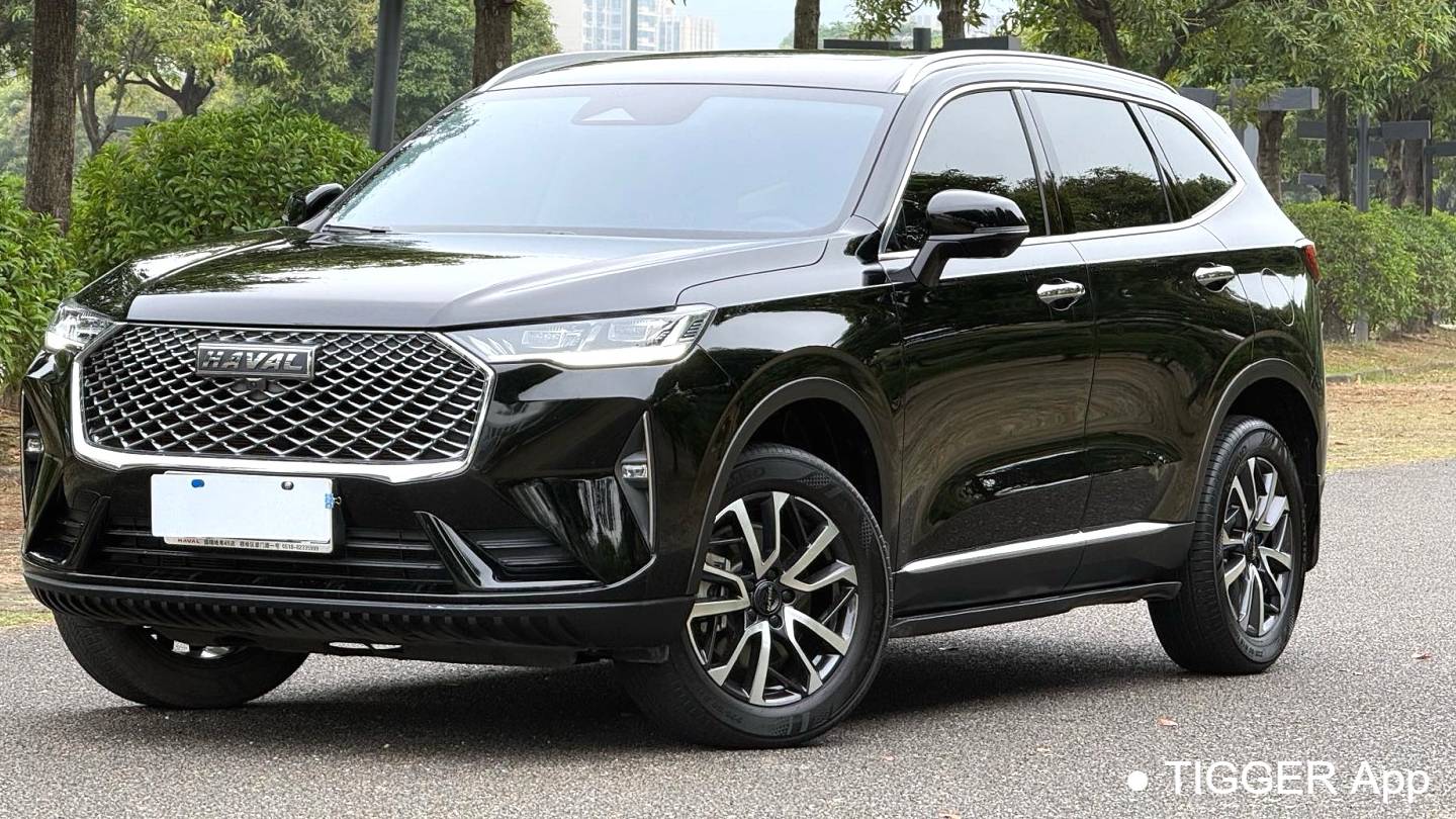 HAVAL 2022 H6 1.5T two wheel drive Max
