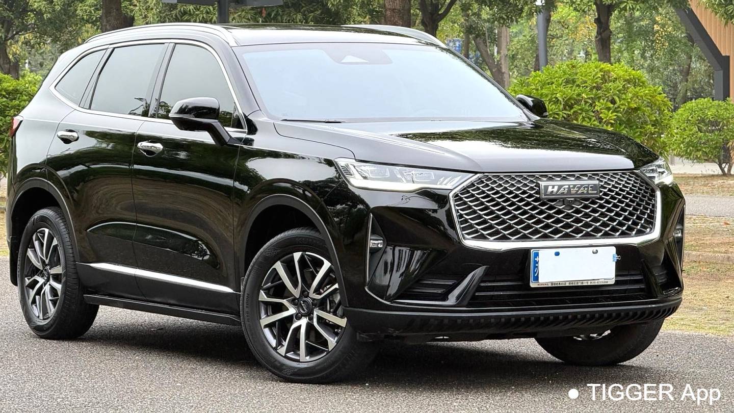 HAVAL 2022 H6 1.5T two wheel drive Max