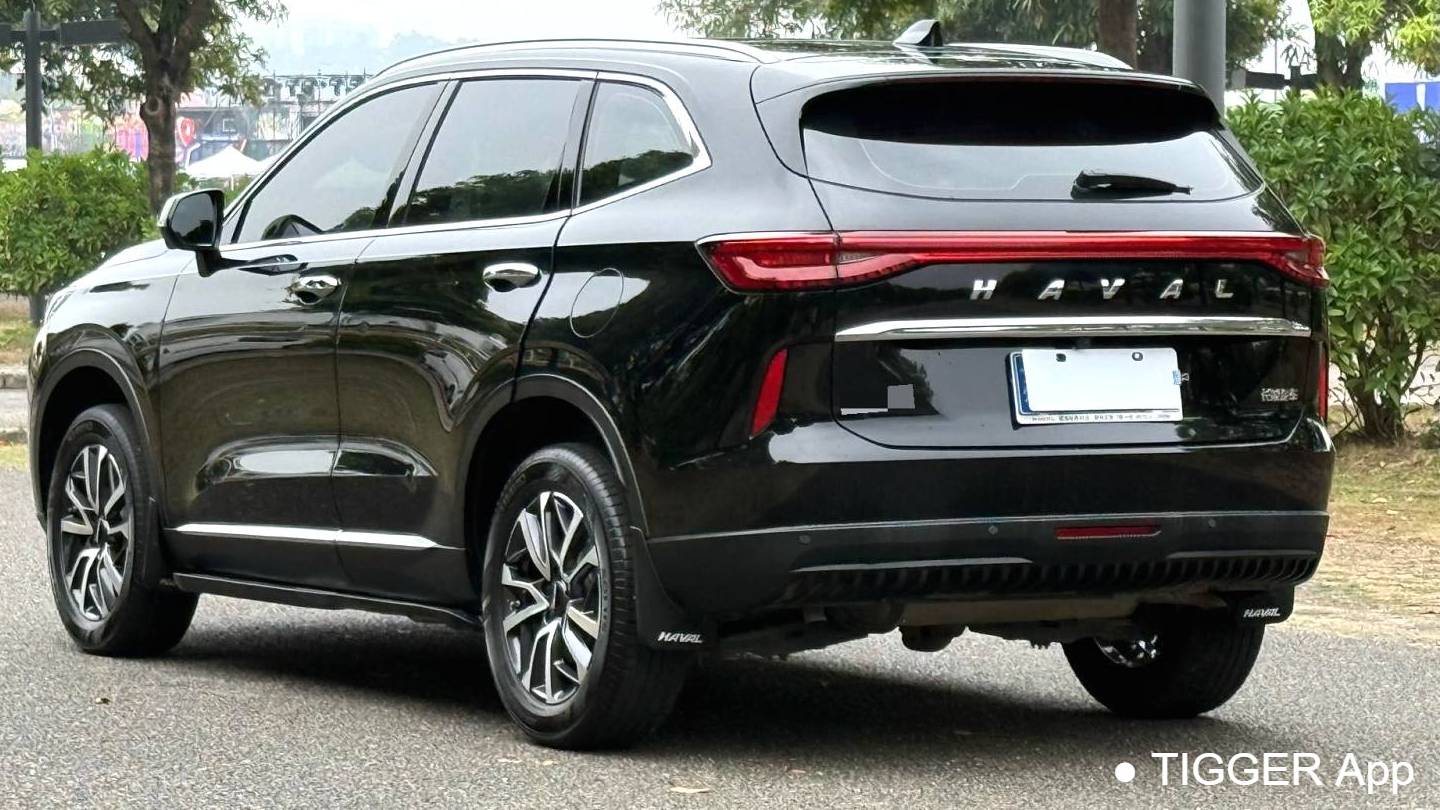 HAVAL 2022 H6 1.5T two wheel drive Max