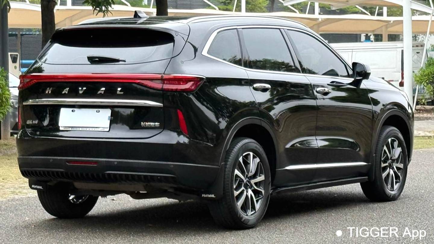 HAVAL 2022 H6 1.5T two wheel drive Max