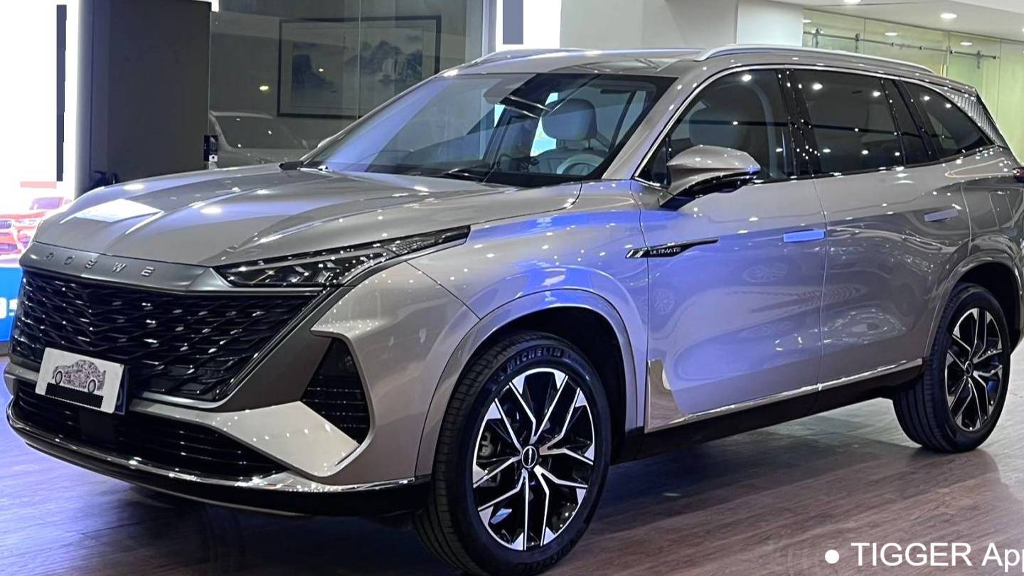 ROEWE 2023 RX9 2.0T 2WD Enjoyment Edition