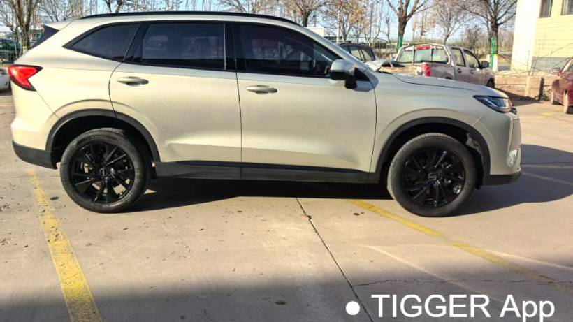 HAVAL 2024 H6 1.5T two wheel drive Ultra