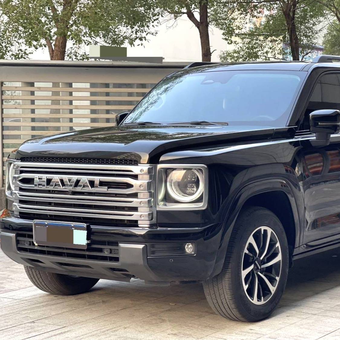 HAVAL 2024 H9 2.4T diesel four-wheel drive Extreme Edition