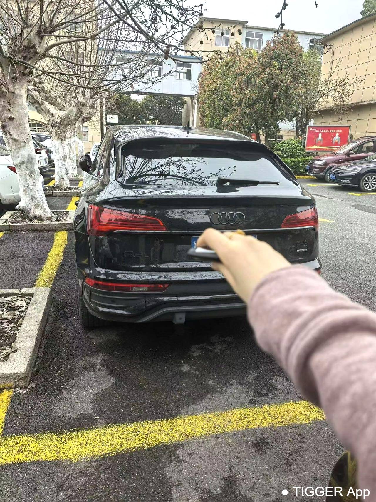 Audi 2023 Q5L Sportback 40 TFSI Luxury Edition