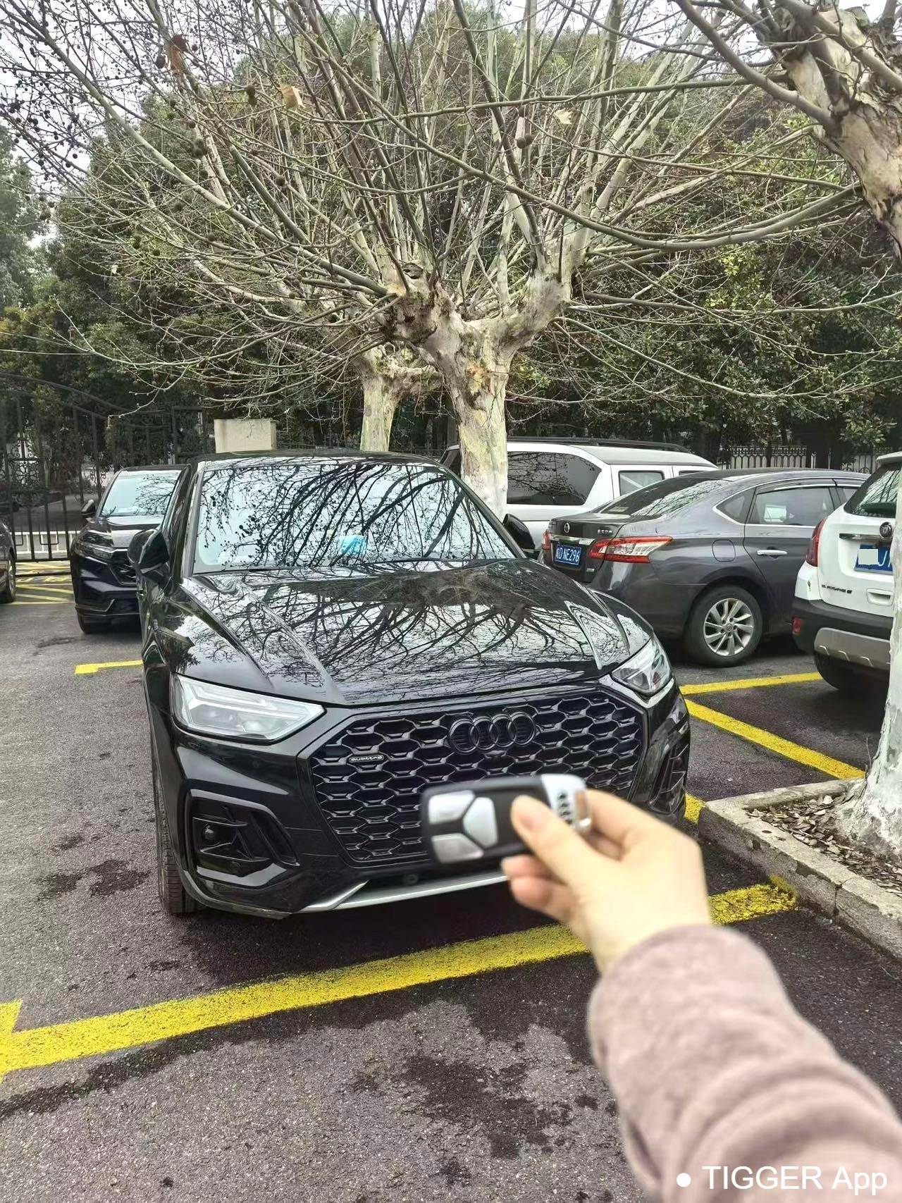 Audi 2023 Q5L Sportback 40 TFSI Luxury Edition