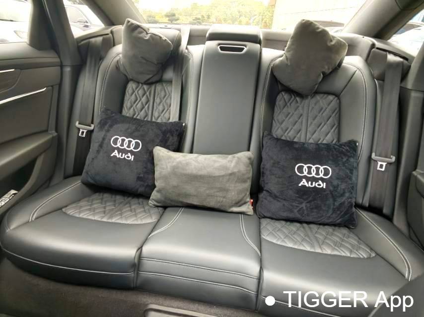 Audi 2025 A6L 45 TFSI quattro Selected Dynamic Type