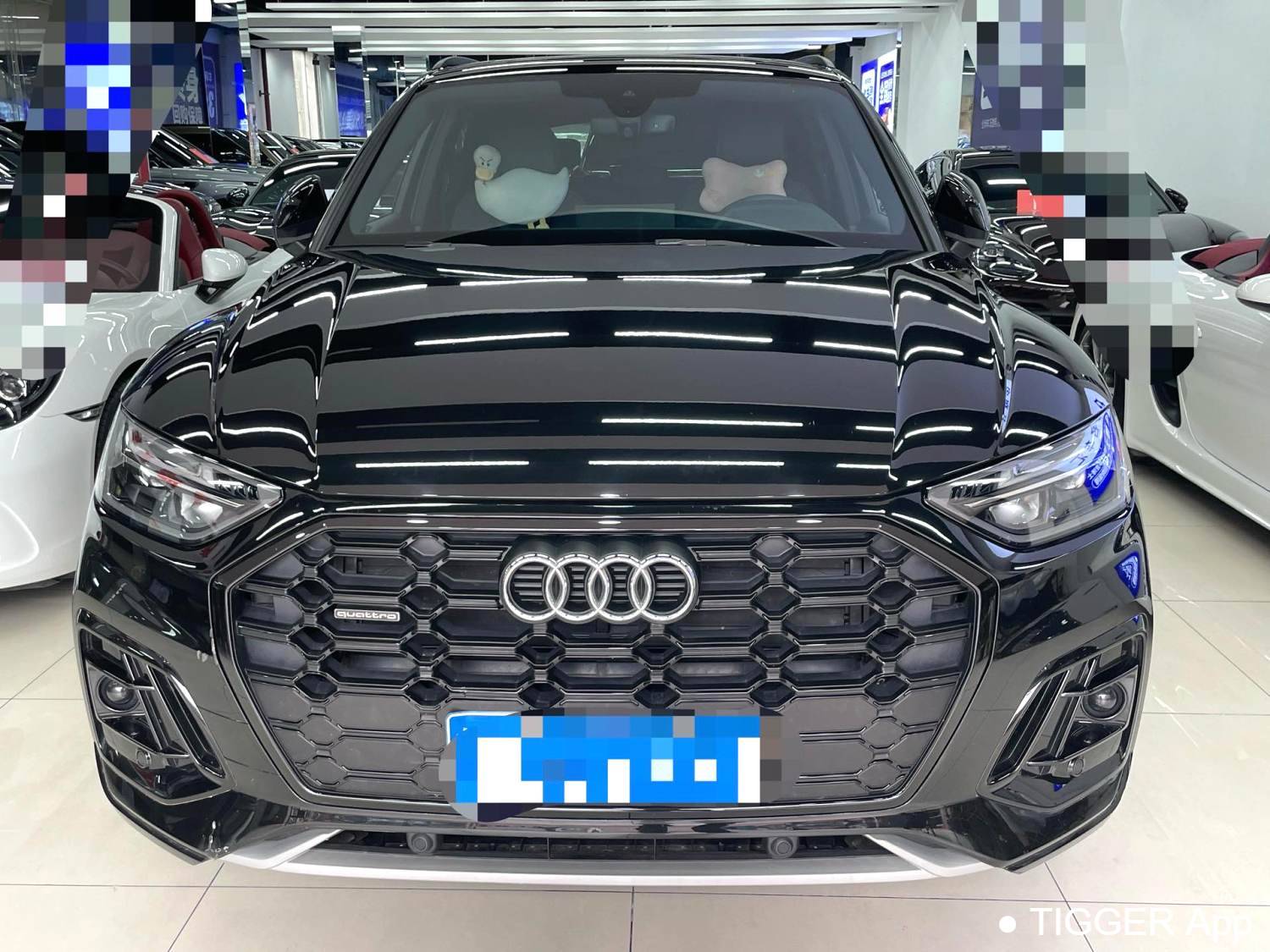 Audi 2024 Q5L 40 TFSI Luxury Dynamic Model