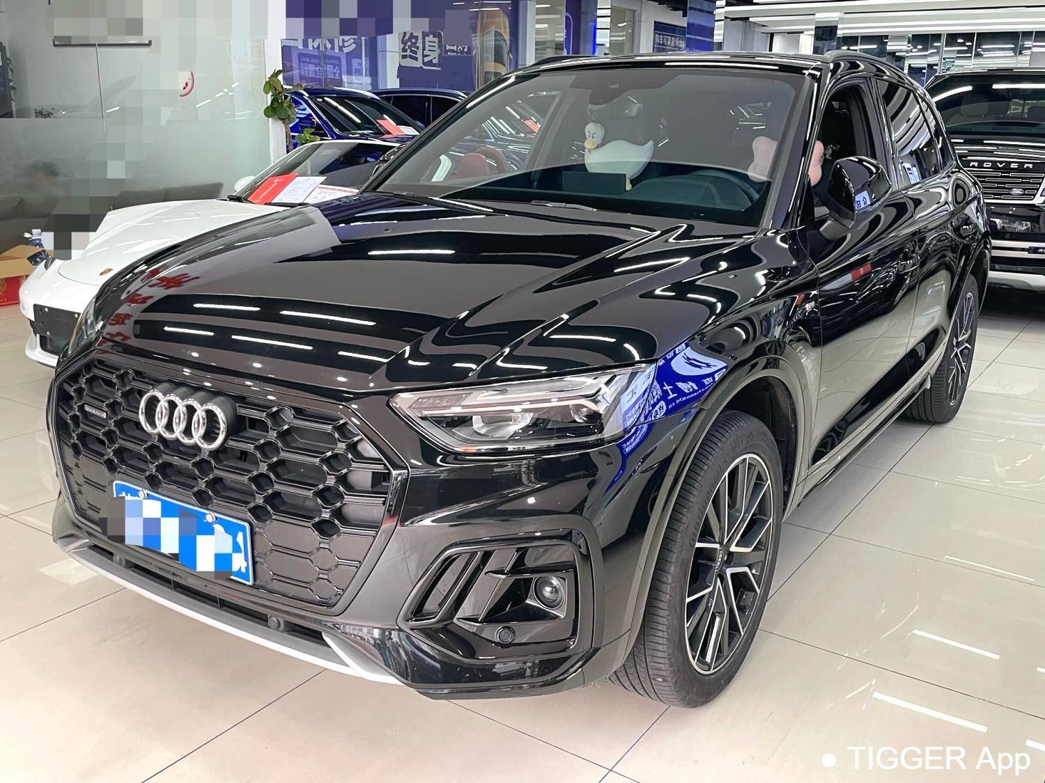 Audi 2024 Q5L 40 TFSI Luxury Dynamic Model