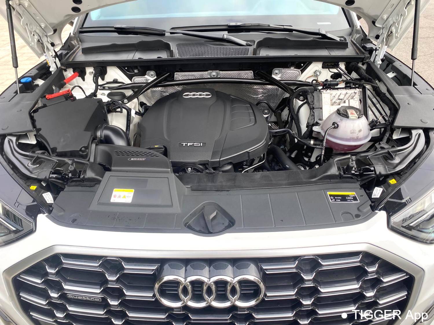 Audi 2022 Q5L 45 TFSI Luxury Dynamic Model