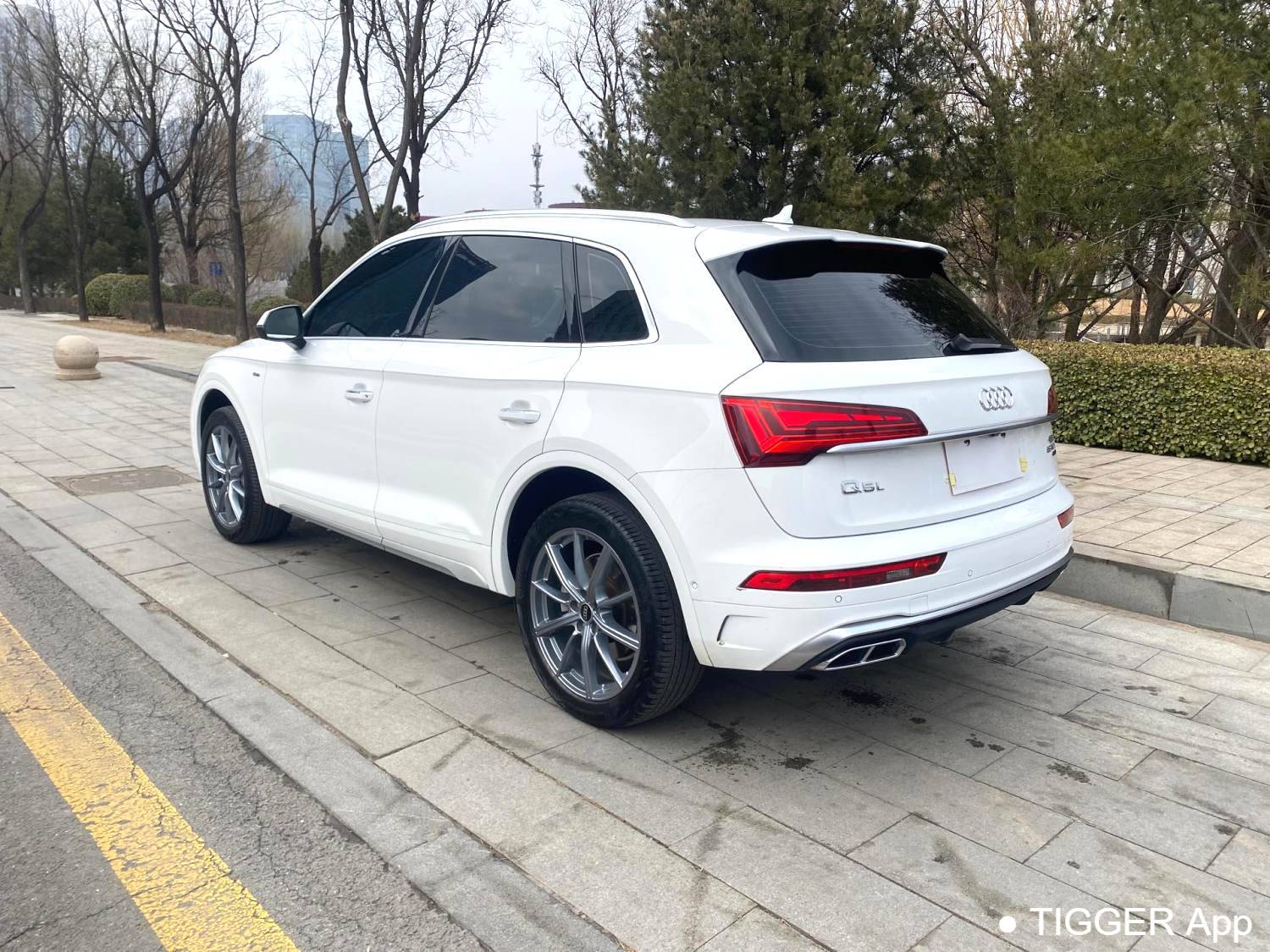 Audi 2022 Q5L 45 TFSI Luxury Dynamic Model