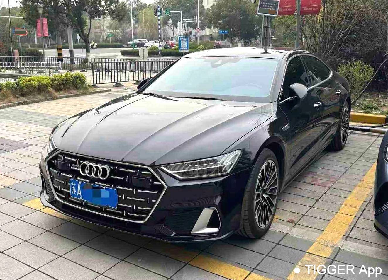 Audi 2025 A7L 45 TFSI Luxury