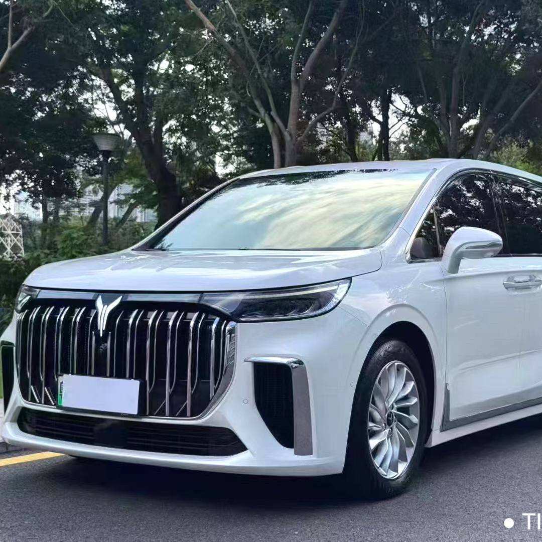 VOYAH 2024 FREE Ultra long endurance intelligent driving version Used Car