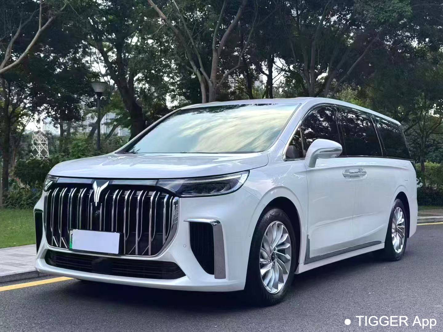 used VOYAH 2024 FREE Ultra long endurance intelligent driving version