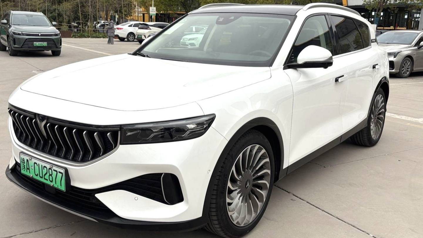 VOYAH 2022 FREE Two wheel drive standard pure electric city version