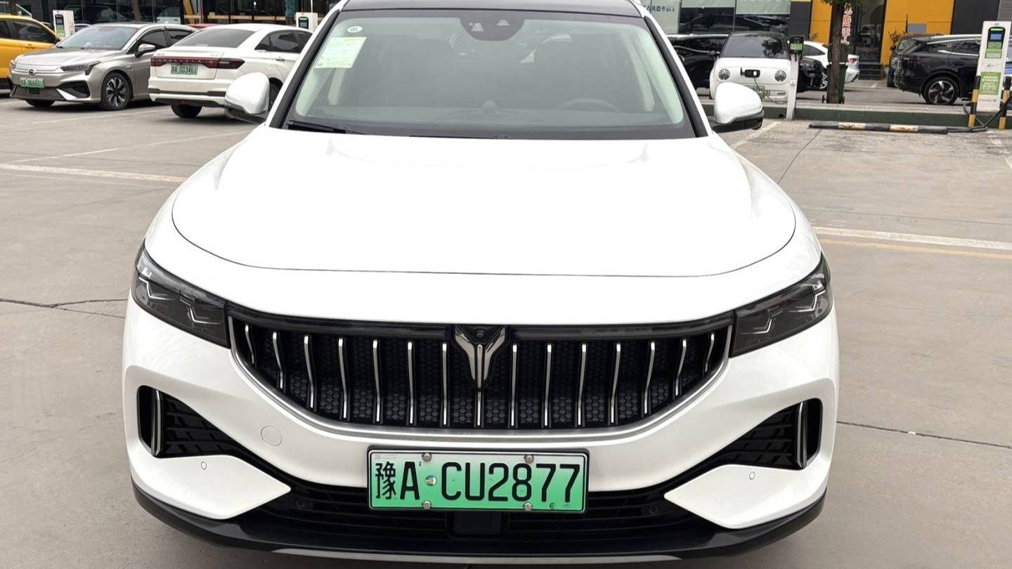 VOYAH 2022 FREE Two wheel drive standard pure electric city version