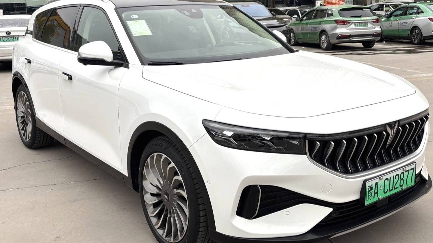 VOYAH 2022 FREE Two wheel drive standard pure electric city version