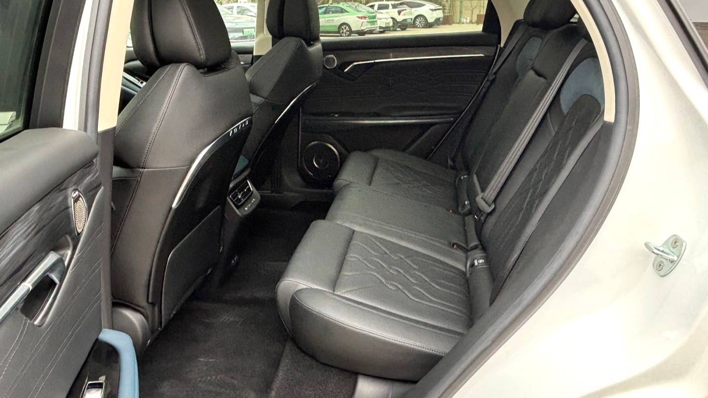 VOYAH 2022 FREE Two wheel drive standard pure electric city version