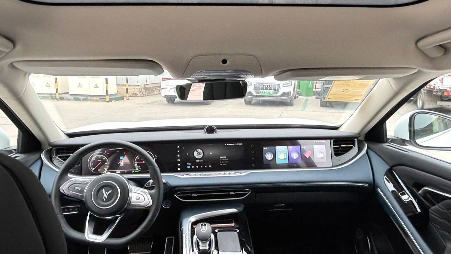 VOYAH 2022 FREE Two wheel drive standard pure electric city version