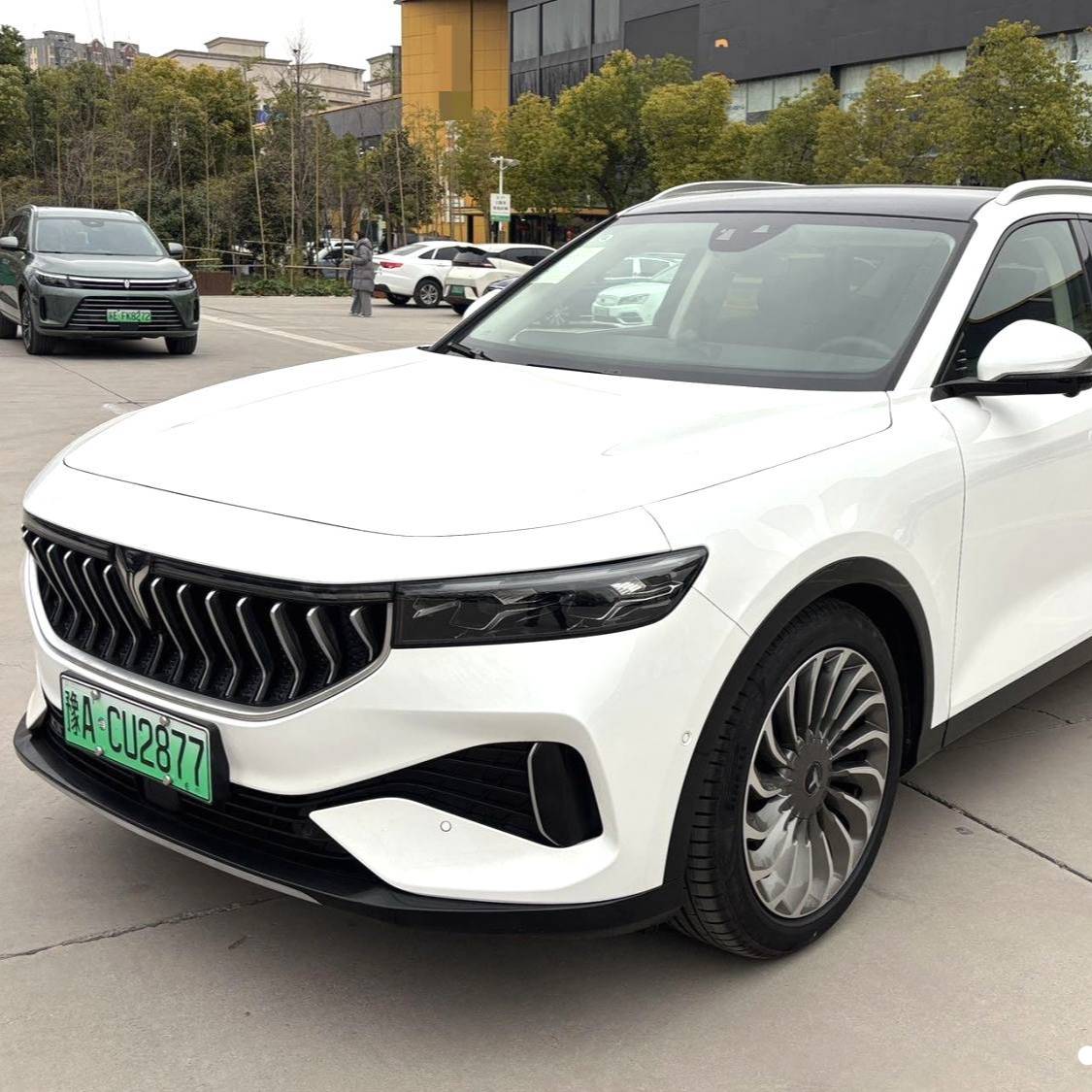 VOYAH 2022 FREE Two wheel drive standard pure electric city version Used Car