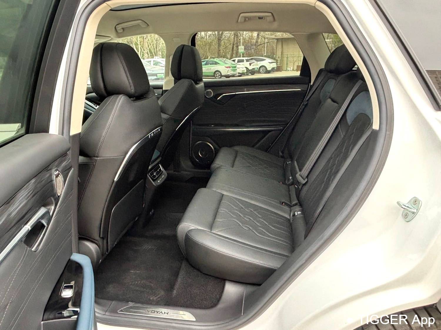 used VOYAH 2022 FREE Two wheel drive standard pure electric city version