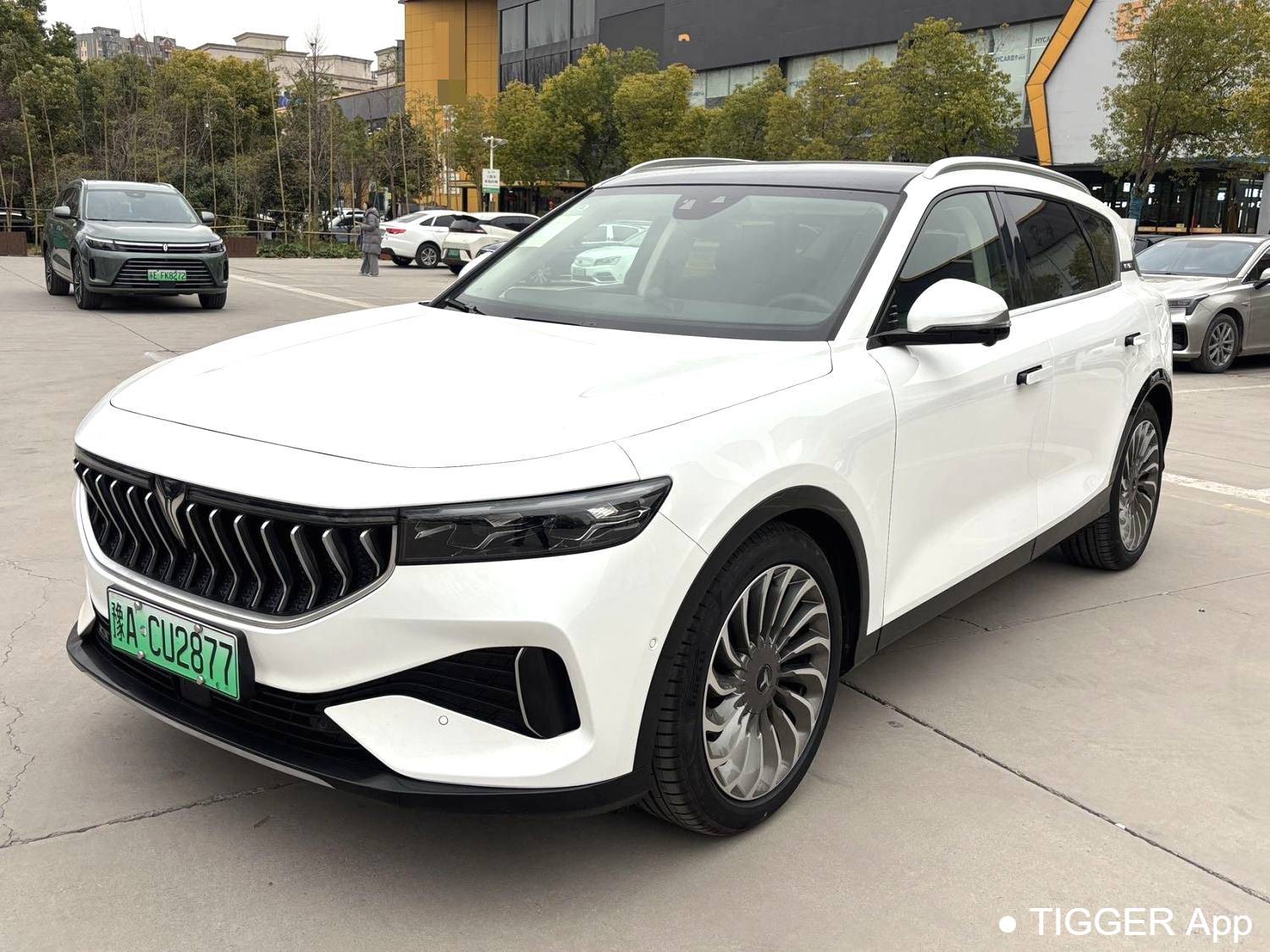 used VOYAH 2022 FREE Two wheel drive standard pure electric city version