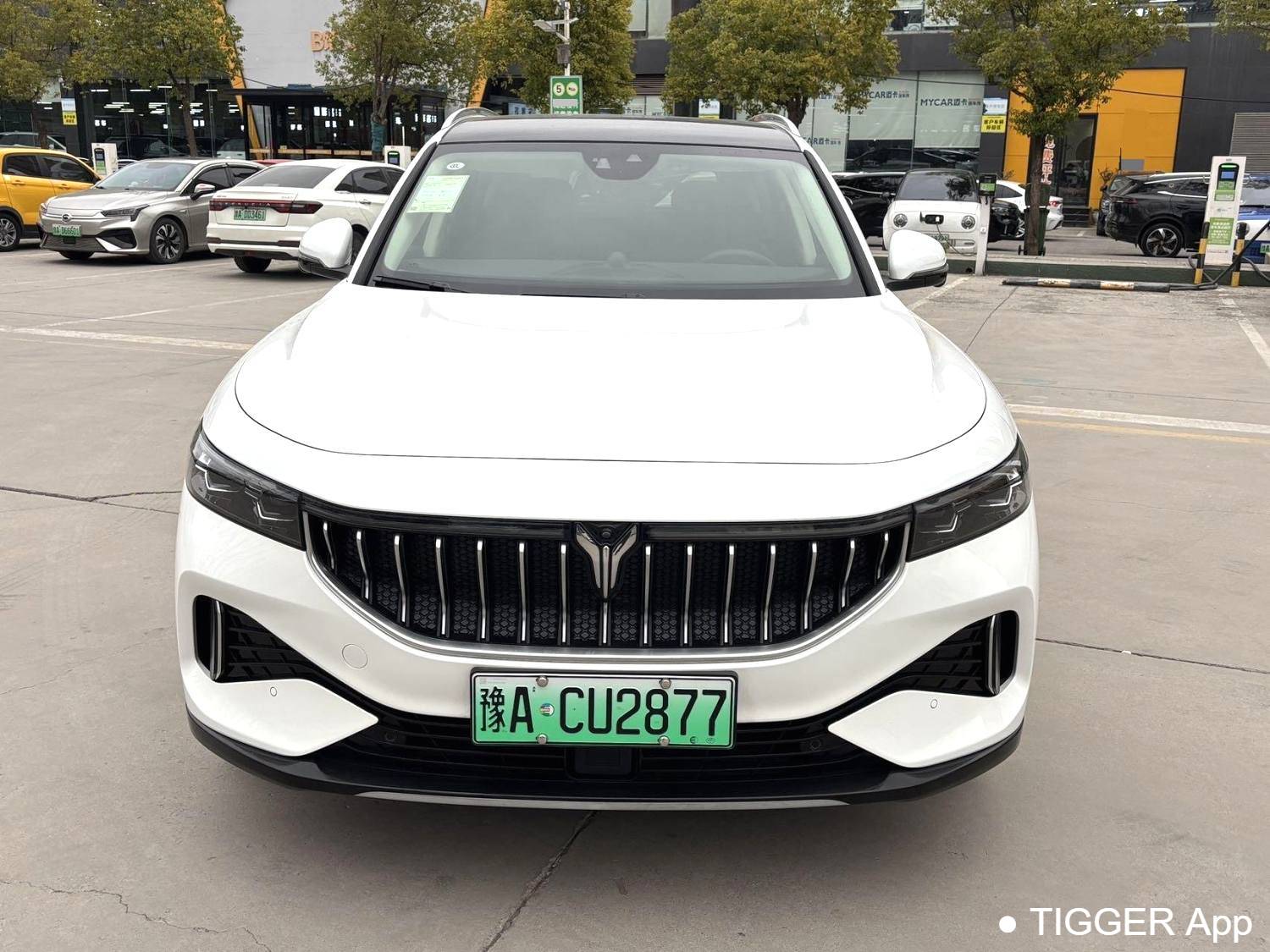 used VOYAH 2022 FREE Two wheel drive standard pure electric city version