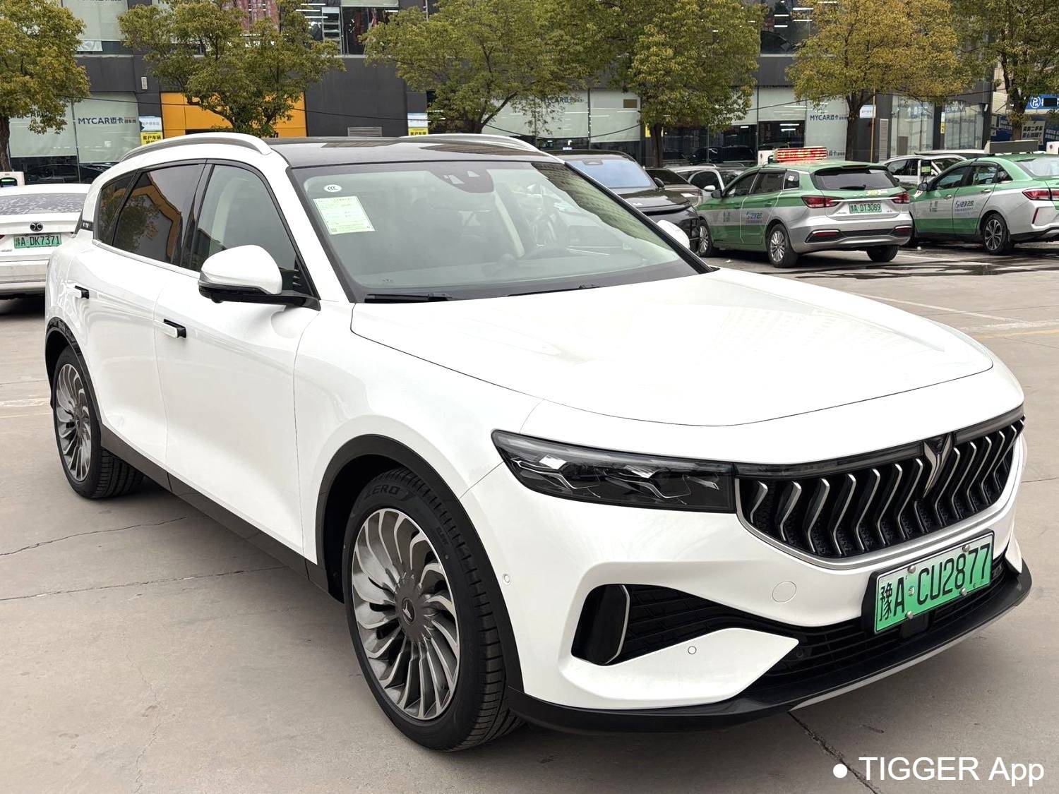 used VOYAH 2022 FREE Two wheel drive standard pure electric city version