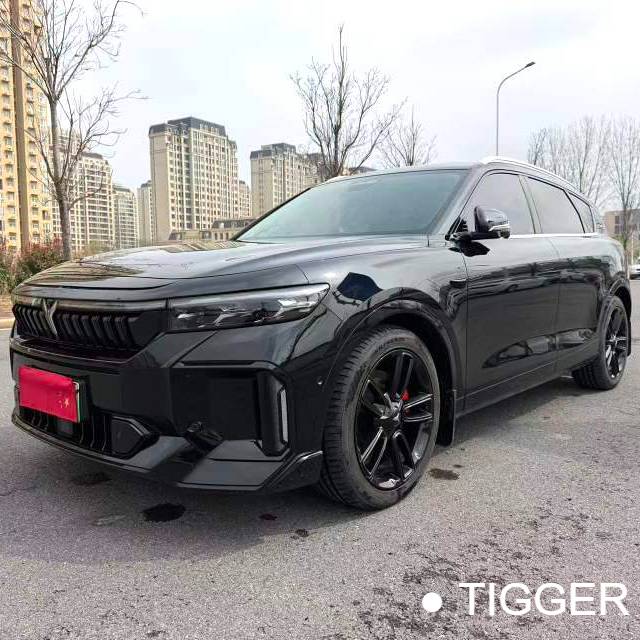 VOYAH 2024 FREE Ultra long endurance intelligent driving version Used Car